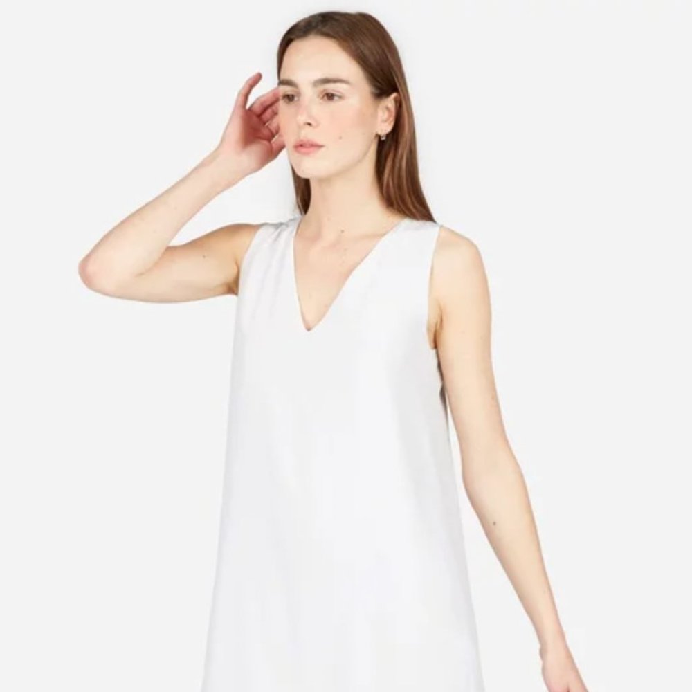 Everlane The Double-Lined Silk V-Neck Dress